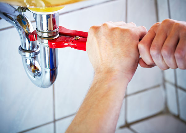About Pitcher Plumbers
